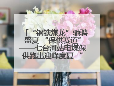 “钢铁煤龙”驰骋盛夏 “保供赛道”——七台河站电煤保供跑出迎峰度夏 “加速度”