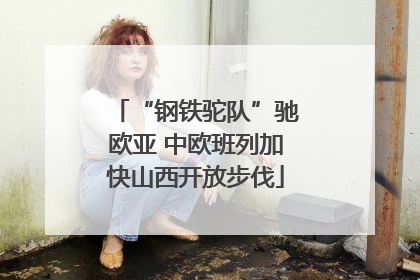 “钢铁驼队”驰欧亚 中欧班列加快山西开放步伐