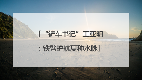 “铲车书记”王亚明：铁臂护航夏种水脉
