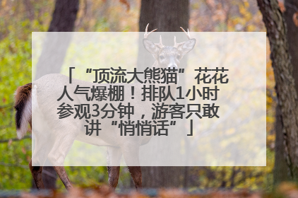 “顶流大熊猫”花花人气爆棚！排队1小时参观3分钟，游客只敢讲“悄悄话”
