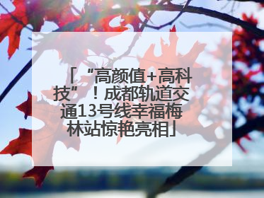 “高颜值+高科技”！成都轨道交通13号线幸福梅林站惊艳亮相