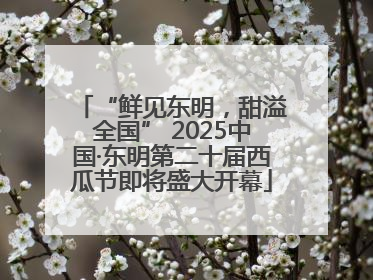 “鲜见东明，甜溢全国” 2025中国·东明第二十届西瓜节即将盛大开幕