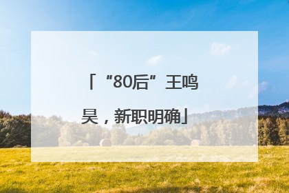 “80后”王鸣昊，新职明确