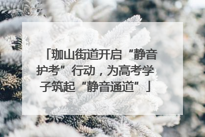 珈山街道开启“静音护考”行动，为高考学子筑起“静音通道”