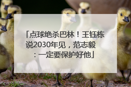 点球绝杀巴林！王钰栋说2030年见，范志毅：一定要保护好他