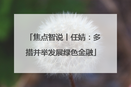 焦点智说丨任婧：多措并举发展绿色金融