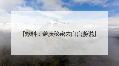 爆料：盖茨秘密去白宫游说