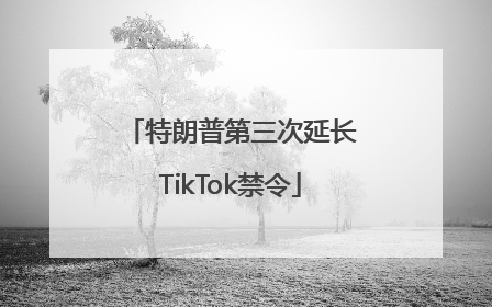 特朗普第三次延长TikTok禁令