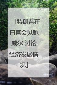 特朗普在白宫会见鲍威尔 讨论经济发展情况