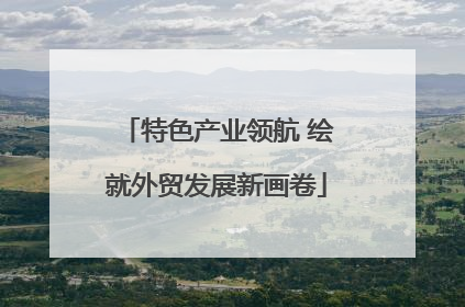 特色产业领航 绘就外贸发展新画卷