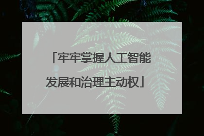 牢牢掌握人工智能发展和治理主动权