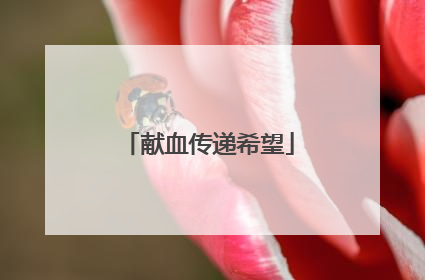 献血传递希望
