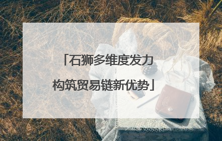 石狮多维度发力 构筑贸易链新优势