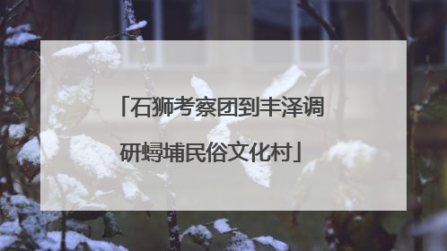 石狮考察团到丰泽调研蟳埔民俗文化村