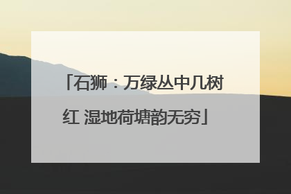 石狮：万绿丛中几树红 湿地荷塘韵无穷