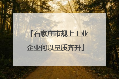 石家庄市规上工业企业何以量质齐升