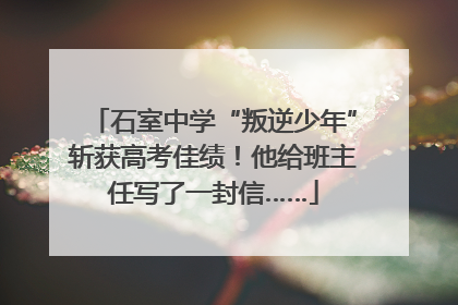石室中学“叛逆少年”斩获高考佳绩！他给班主任写了一封信……