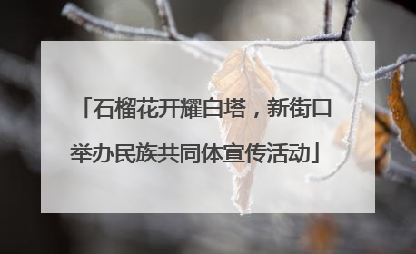 石榴花开耀白塔，新街口举办民族共同体宣传活动