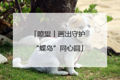瞭望丨画出守护“蝶岛”同心圆