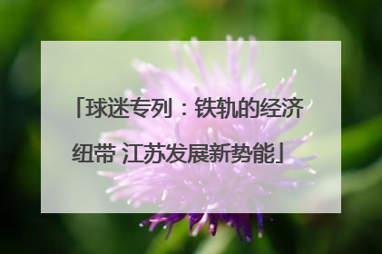 球迷专列：铁轨的经济纽带 江苏发展新势能