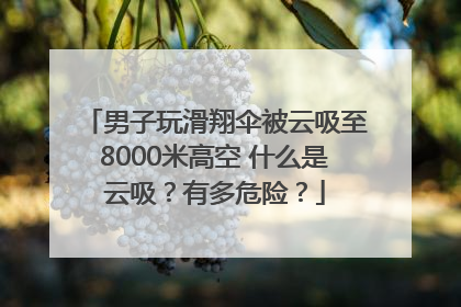 男子玩滑翔伞被云吸至8000米高空 什么是云吸？有多危险？