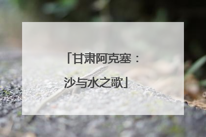 甘肃阿克塞：沙与水之歌