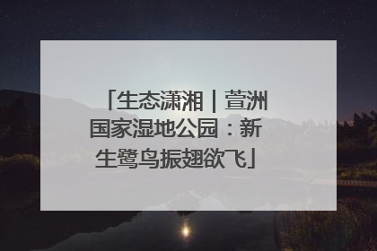 生态潇湘｜萱洲国家湿地公园：新生鹭鸟振翅欲飞