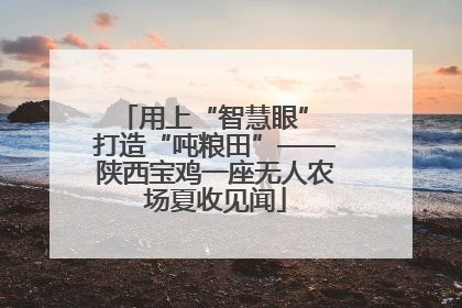 用上“智慧眼” 打造“吨粮田”——陕西宝鸡一座无人农场夏收见闻