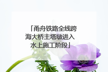 甬舟铁路全线跨海大桥主塔墩进入水上施工阶段
