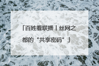 百姓看联播丨丝网之都的“共享密码”