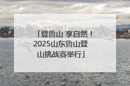 登鲁山 享自然！2025山东鲁山登山挑战赛举行