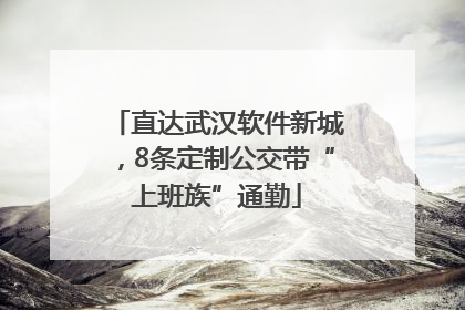 直达武汉软件新城，8条定制公交带“上班族”通勤
