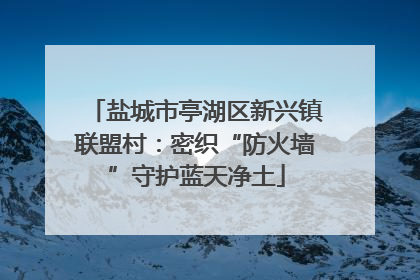 盐城市亭湖区新兴镇联盟村：密织“防火墙”守护蓝天净土