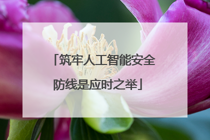 筑牢人工智能安全防线是应时之举