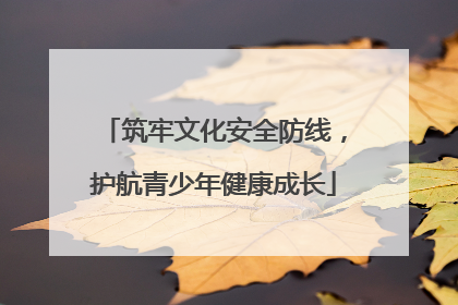 筑牢文化安全防线，护航青少年健康成长