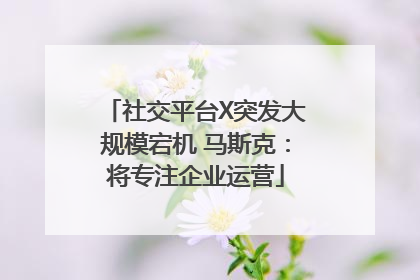 社交平台X突发大规模宕机 马斯克：将专注企业运营