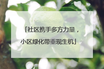 社区携手多方力量，小区绿化带重现生机