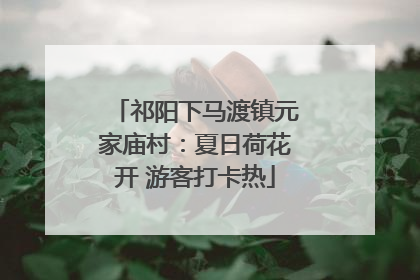 祁阳下马渡镇元家庙村：夏日荷花开 游客打卡热