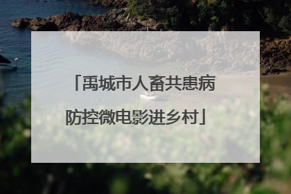 禹城市人畜共患病防控微电影进乡村