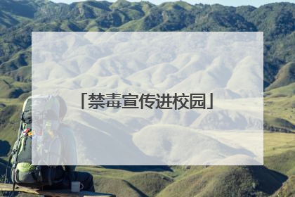 禁毒宣传进校园