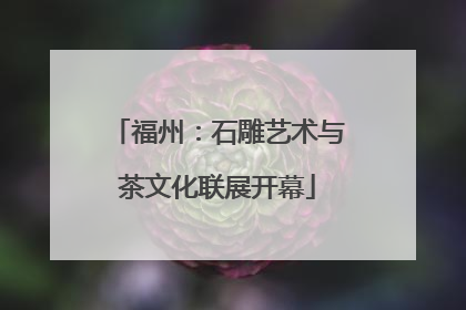 福州：石雕艺术与茶文化联展开幕