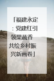 福建永定：党建红引领果蔬香 共绘乡村振兴新画卷
