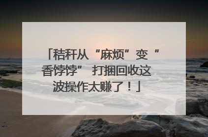 秸秆从“麻烦”变“香饽饽” 打捆回收这波操作太赚了！