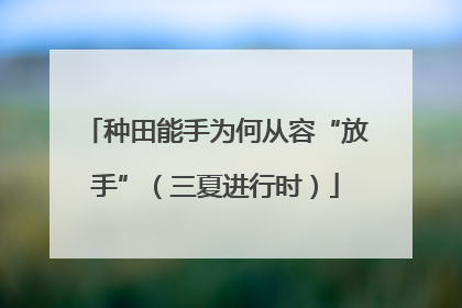 种田能手为何从容“放手”（三夏进行时）