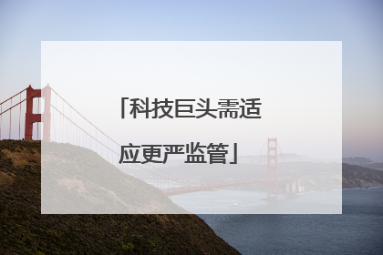 科技巨头需适应更严监管
