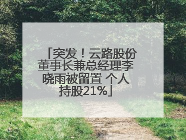 突发！云路股份董事长兼总经理李晓雨被留置 个人持股21%