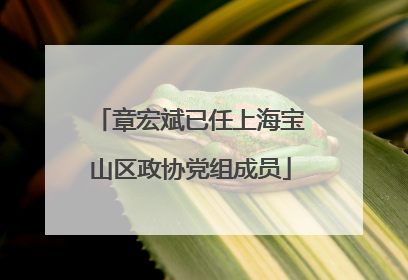 章宏斌已任上海宝山区政协党组成员