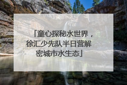 童心探秘水世界，徐汇少先队半日营解密城市水生态
