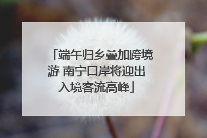 端午归乡叠加跨境游 南宁口岸将迎出入境客流高峰