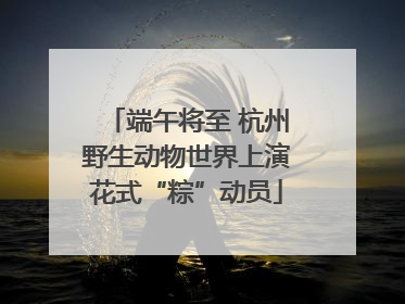 端午将至 杭州野生动物世界上演花式“粽”动员